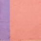 Banarasi Silk Saree