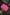 Banarasi Pink Silk Meenakari Saree