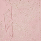 Pastel Pink Chikankari Saree