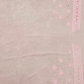 Pastel Pink Chikankari Saree