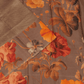Kanchipuram Brocade Brown Digital Print Border Saree