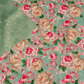 Kanchipuram Brocade Mint Green Digital Print Border Saree