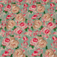 Kanchipuram Brocade Mint Green Digital Print Border Saree