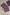 Jamdhani Cotton Purple Saree