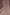 Jamdhani Cotton Purple Saree