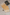 Tissue Tussar Gold Banarasi Saree