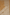 Tissue Tussar Gold Banarasi Saree