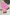 Crepe Silk Pink Contrast Border Saree