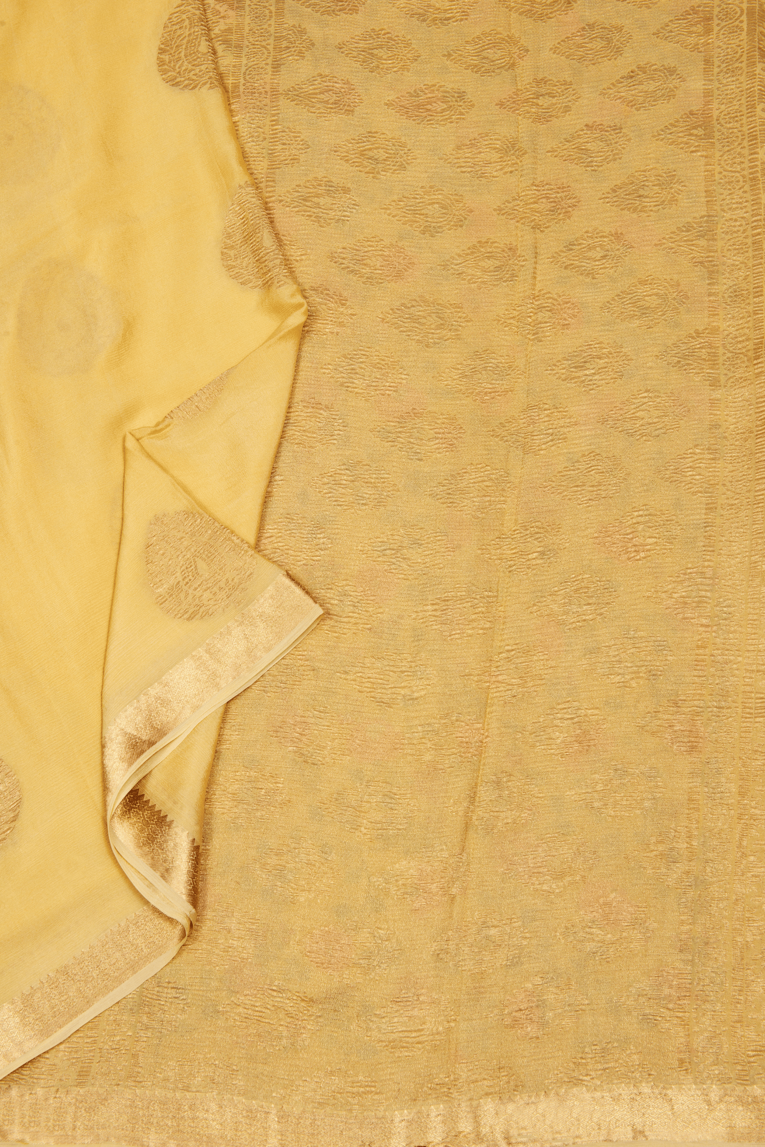 Chinon Saree with Intricate Embroidered Blouse
