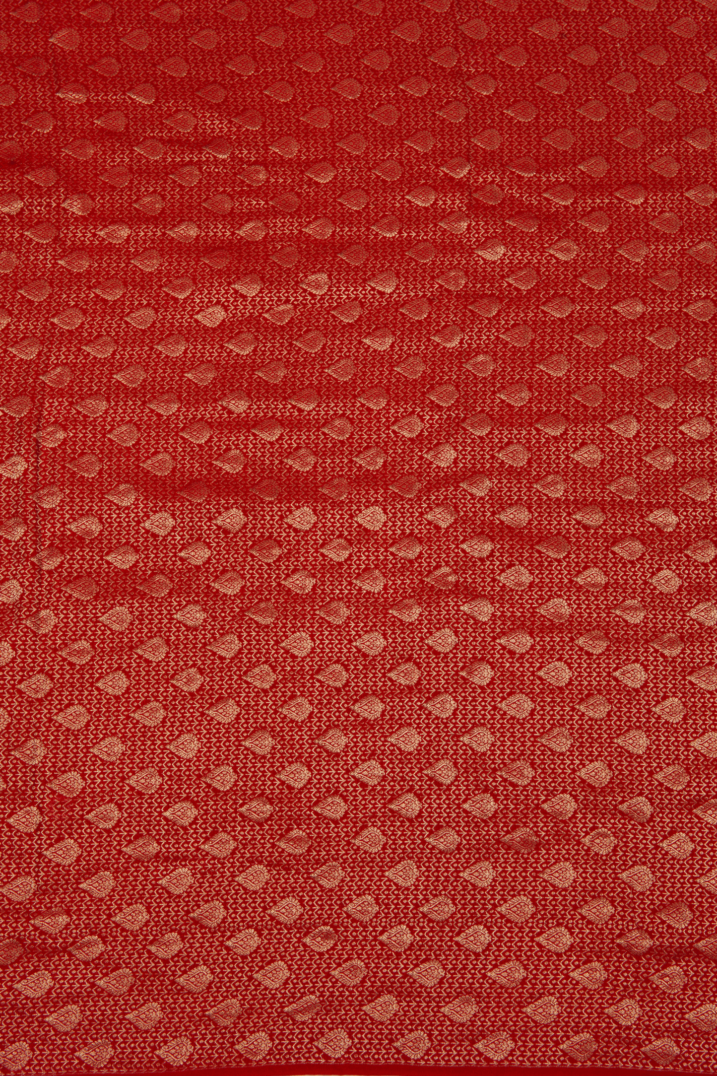 Chiffon Fusion Saree
