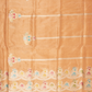 Tissue Banarasi Saree