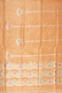 Tissue Banarasi Saree