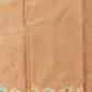 Tissue Banarasi Saree