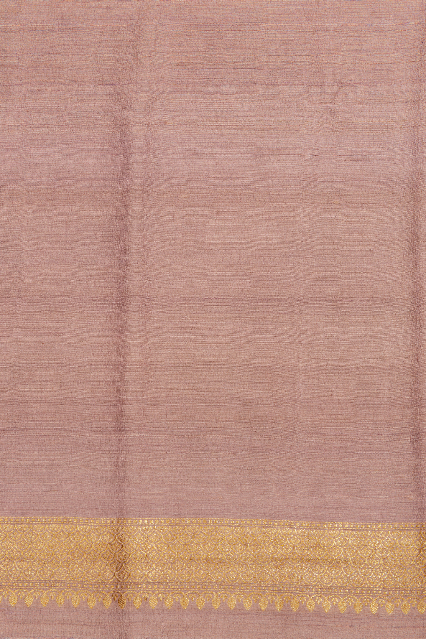 Muga Tussar Banarasi Saree