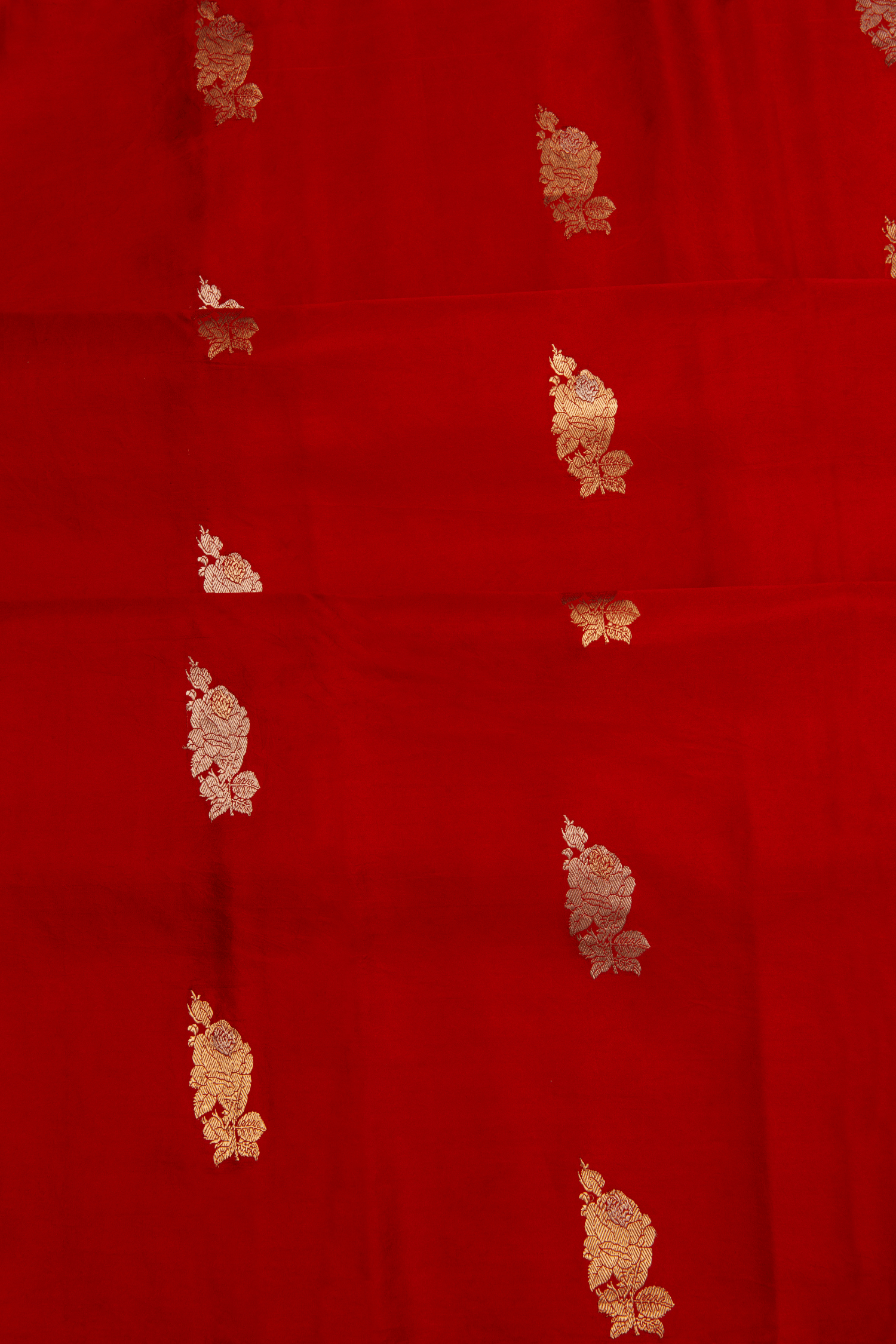 Mushroo Saree