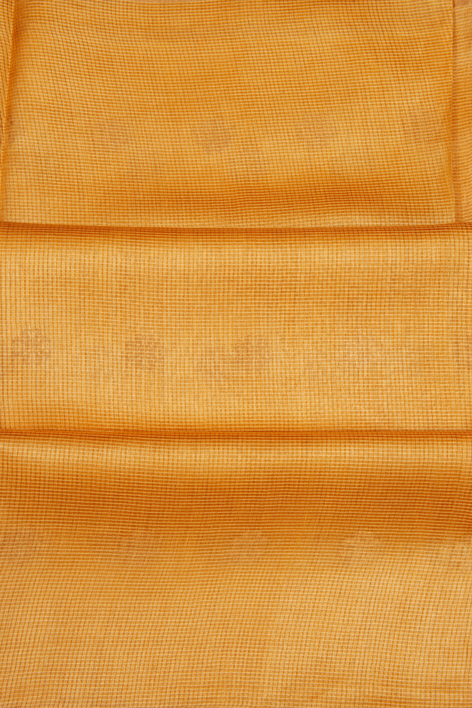 Tissue Saree