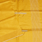 Tissue Saree
