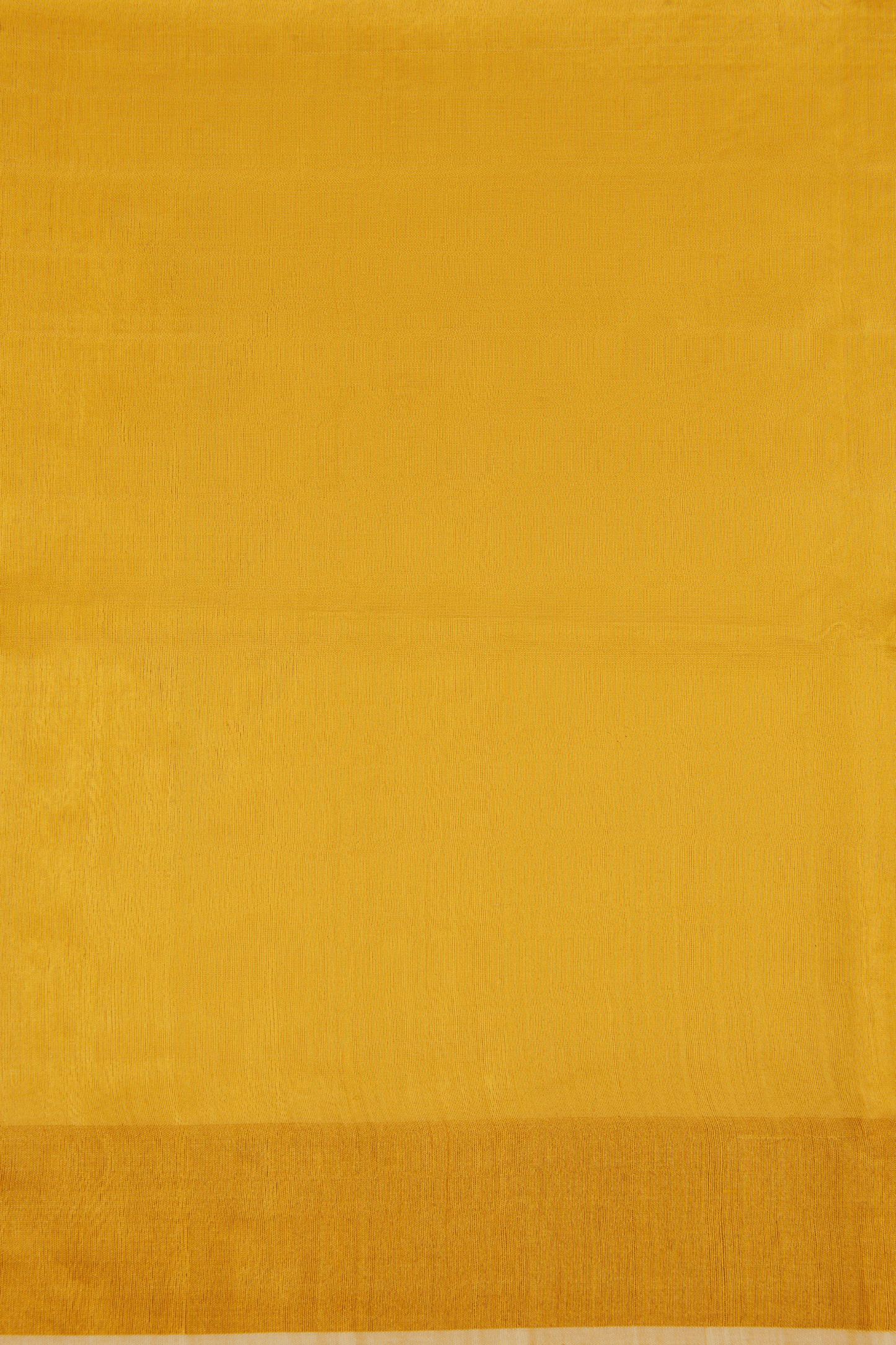 Tissue Saree