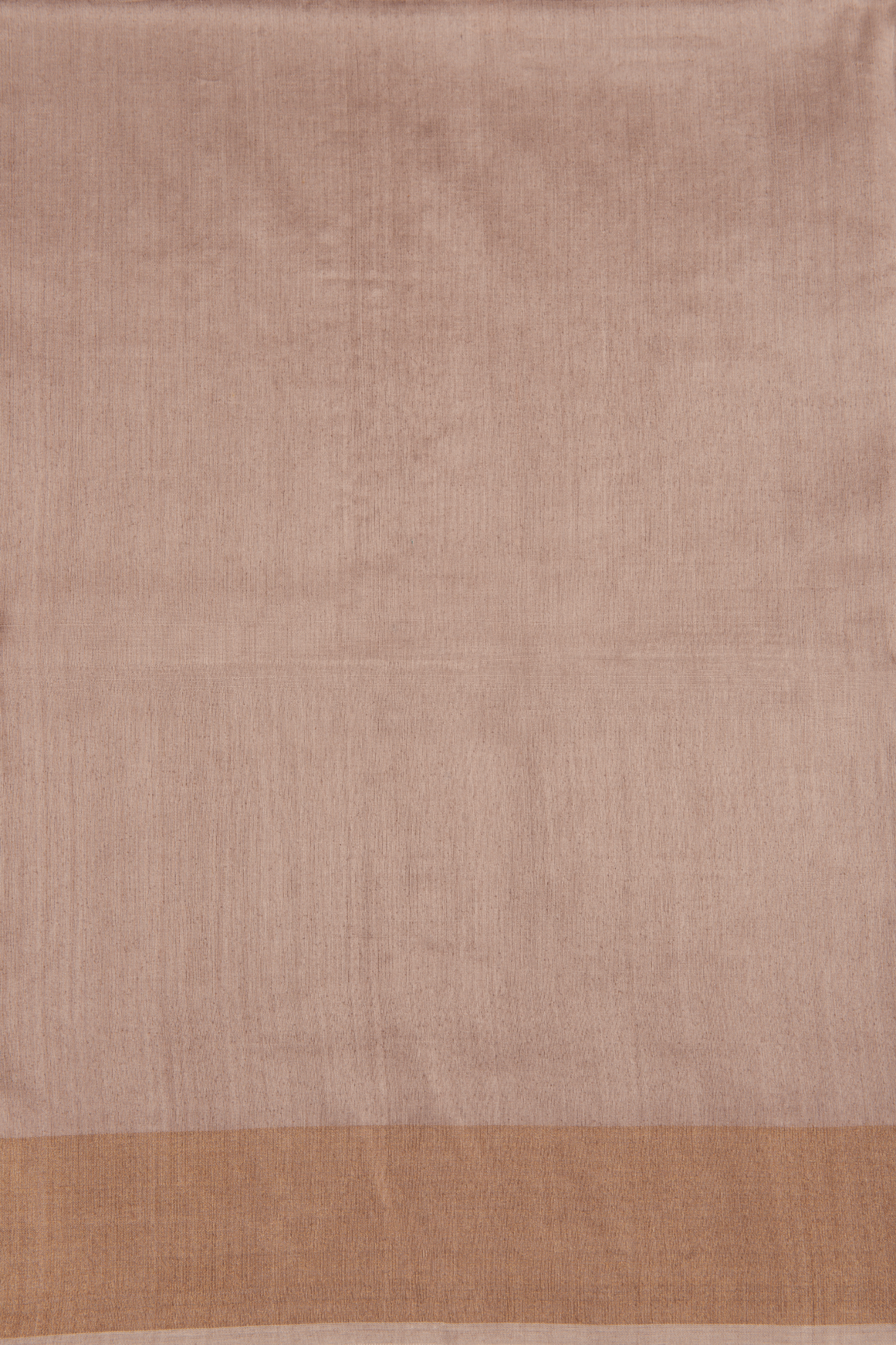 Tissue Saree