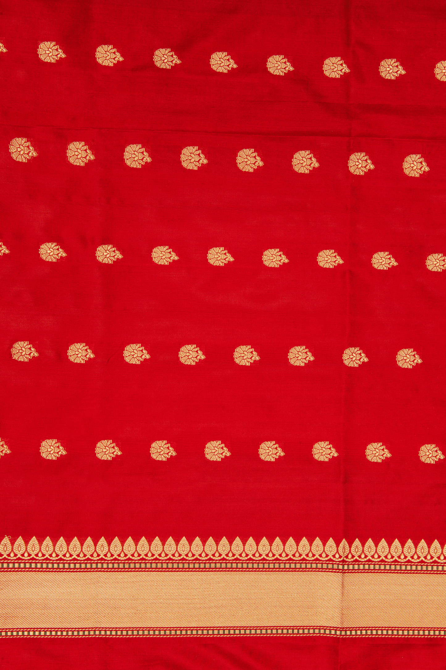 Tissue Banarasi Saree